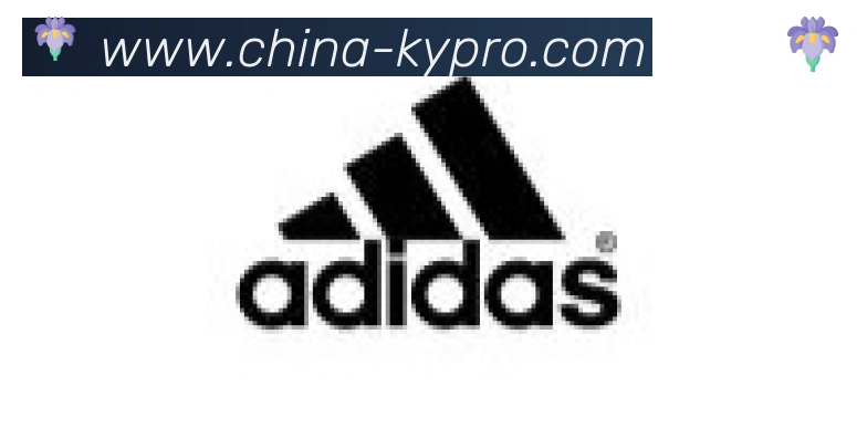 开云合作伙伴